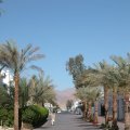 Sharm 2004 54