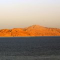 Sharm2006 009